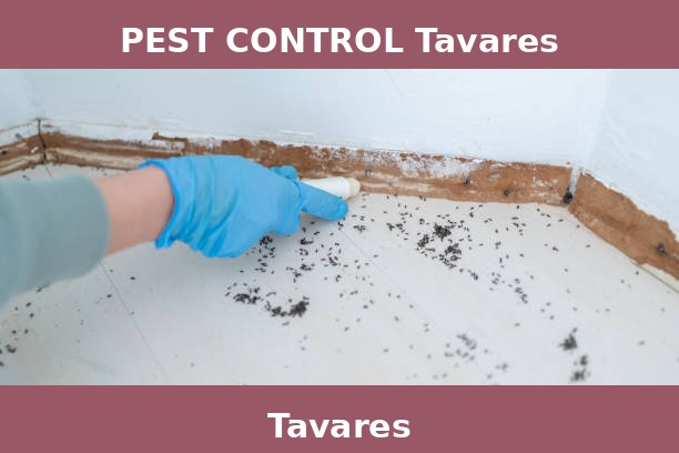 PEST CONTROL Tavares